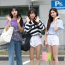 김시현 카카오 검색결과