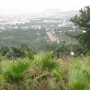 이슬농장 이미지