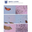 예향아이디씨