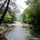 솔밭팬션 이미지