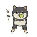 VIP전자담배 - 청주시 흥덕구 | VIP전자담배