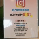 오월의 동물병원 이미지