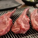 트리플램