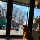 미라마 | 단캠 전용 캠핑장 미라마캠핑장