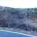 문덕면사무소 이미지