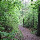 우면산3-29 이미지