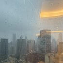 (언)니가 가자매... 2월 3박 4일 상해 여행 (4)동베이런지아, 북와이탄, 정대광장, 점도덕