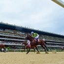 대곡목장 이미지