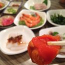 회와 멍게 친구들 이미지