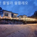 쏠플레오 | 내리 풀빌라 태안 풀빌라 쏠플레오 계절 상관없이 좋은 곳
