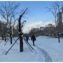 풍암호수공원 이미지