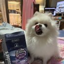 닥터펫푸드 | 펫푸드 가수분해 눈물사료 강아지 알러지사료추천 닥터클라우더 후기