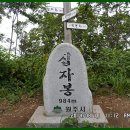 복달이 이미지