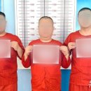 "캄보디아서 실종, 감금, 돈 보내라"…전국 피해 신고 잇따라 이미지