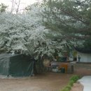 상미농장 이미지