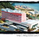 삼성중공업 거제호텔 수영장 이미지