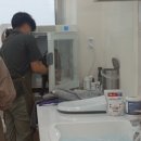 캣살롱코코 | 시흥 캣살롱코코[시흥고양이미용 시흥고양이호텔 시흥고양이스파]