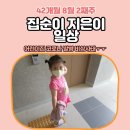 순자농장 이미지