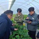 고령유통 이미지