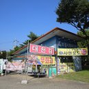 보령 만나