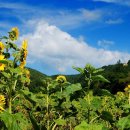 태백농원 이미지