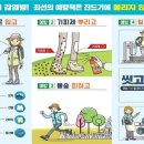 바글바글 이미지