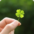 (주)네잎 이미지