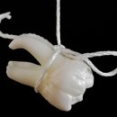 김앤정치과의원 이미지