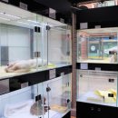 제주 강아지분양 애견샵 요미독 제주점 이미지