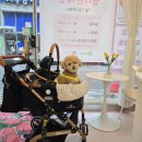 꽃나비 네일 | 천안 두정동 네일 릴리앤네일 일찍 오픈하는 네일샵 후기