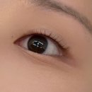 토성프라자상가관리단 | [경기/부천시] 벨뮤 눈썹 & 속눈썹 : 부천속눈썹펌추천 무쌍 후기