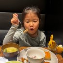 더 프리저 팜 | 아이랑 단둘이 2월 후쿠오카 - 2(크로스라이프 하카타 텐진 호텔, 후쿠오카 미술관, 오호리공원, 라콜또...