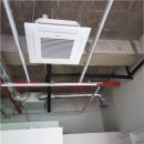 세브란스동물병원 이미지