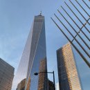 덤보커피 이미지