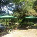 춘천이동갈비 이미지