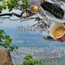 관악산 초보 등산코스 | 건설환경종합연구소 출발 | 소요시간 준비물 꿀팁
