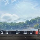 굿모닝건강스토어 이미지