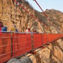 809 | 월출산 구름다리 등산 코스 완전 가이드 | 호남의 금강산 천황봉 809m 무료 국립공원 하이킹 명소 후기