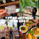 푸꾸옥 빈펄 사파리 입장권 내돈내산 후기 (주트램 vs vip 차이, 기린 먹이주기)