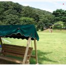 들꽃피는언덕 이미지