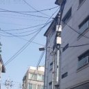 서울용마초등학교 이미지