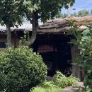 자연을 닮은 소박한 집 | 여행 중 발견한 경주 맛집, 천북 맛집, "자연을 닮은 소박한 집" 자닮카페! 왜 지금껏 몰랐을까? (경주...