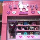 핑크 PET 살롱 네이버블로그