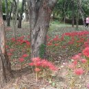 천은농장 이미지