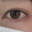 이룸 | 대구 중구 남산동 속눈썹펌 잘하는 곳 이룸뷰티 만족 후기