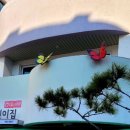 금파어린이집 이미지