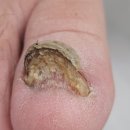 레푸스쌍문 이미지