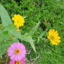 곳티경로당 이미지