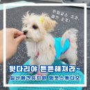 멍 핏 스튜디오 이미지