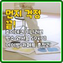 11260-3-70-50 | 먼지 걱정 끝! 호이데코 미니러그 방수 워셔블 50x70 아이방 카페트 총정리